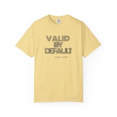 Valid By Default graphic T-Shirt | Neutral vintage text tee