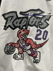 Vintage Toronto Raptors Damon Stoudamire Champion Jersey Size 48 XL 90s NBA