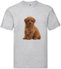 Toy Poodle Brown Dog Pet Family Novelty T Shirt Various Colours And Sizes
