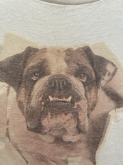 Vintage Wrestling Shirt 1987 Matilda Mascot British Bulldogs Tag Team WWF WWE