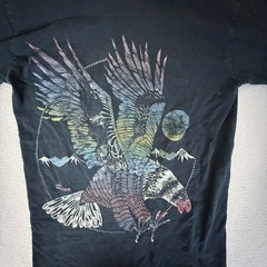 Vintage Fruit of the Loom Reno Eagle Graphic Tee Black USA Made Cotton Adult S