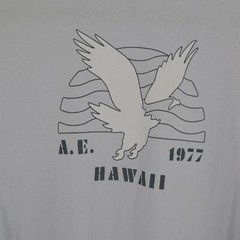 American Eagle Graphic T-shirt Mens M Gray Casual Weekend Retro 1977 Hawaii NWOT