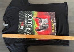 Damian Marley And Stephen Marley KCRW Festival Jam Rock 2024 Hollywood Bowl 8/4