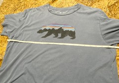 Patagonia Shirt Mens Large Blue Crew Short Sleeve Slim Fit Fitz Roy Bear Organic