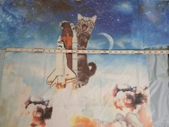 Gildan DryBlend Short Sleeve Tee Shirt With Cat Spaceship Moon Men’s Size 2XL