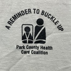 Vintage Hanes T-Shirt XL Buckle Up Luck Park County Colorado Safety Wildlife 90s