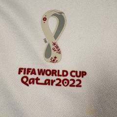 Outerstuff FIFA World Cup Qatar 2022 Denmark 1/4 Zip Shirt Mens White Gray Large