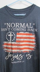 Men’s size XL Blue SS NORMAL ISN’T COMING BACK JESUS IS T shirt LOVE & FAITH