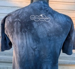 Lab Love The Mountain 2015 T-Shirt Mens L Blue Tie Dye Dog Vintage Y2K Tee