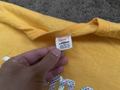 VTG 70s Holoubek Studios Iron-on T-Shirts – Zooma Beach Joy Ride Holo – Stedman