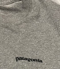 Patagonia Cotton Logo T-Shirt Gray ( Small