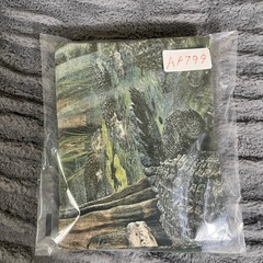 The Mountain Alligator Graphic T-Shirt Green Tie Dye Field Museum Mens Small