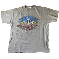 Biketoberfest Daytona Beach 2002 T-Shirt XL Grey Halloween Biker Wild Side XL