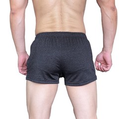 Lehmanlin Men’s Bodybuilding Shorts 3 Inch Inseam Large/3″ Inseam, Black