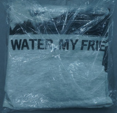 BRUCE LEE Homage ‘Be Water My Friend’ Graphic T-Shirt Gray Size Large SEALED NEW