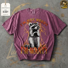Im Not Needy Im Wanty Raccoon Comfort Tee