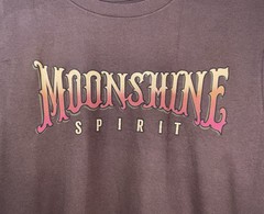NWT Men’s Brad Paisley Moon Shine Spirit Comes Alive Guitar T-shirt Brown Medium