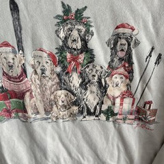 NEW J Crew Mens T Shirt Brown Dog Graphic Christmas XL Cotton Long Sleeve Crew
