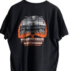 Harley Davidson Mens Short Sleeve Pinup Girl Shirt SZ XL Thunderbird New Mexico