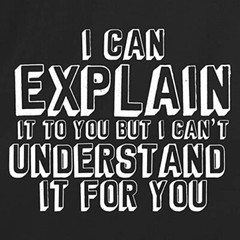 Unisex Black Half Sleeves Cotton Can Explain It To You Graphic Funny T Shirt