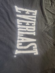 Everlast Vintage T Shirt 1980’s Boxing Clothing Sports Athletics Logo USA Crop