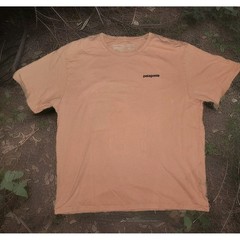 Patagonia P-6 Logo Organic Cotton Tee | Large | Desert Orange Sustainable Flaw