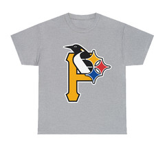 Pittsburgh Ultimate Sport Teams Fan Shirt Different Colors Available