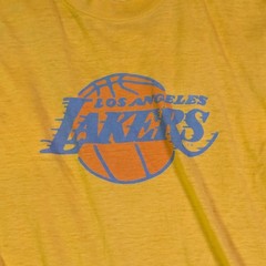 Vintage 80s Los Angeles Lakers Signal Sports T Shirt NBA Distressed USA M