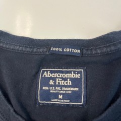 Abercrombie & Fitch Mens Long Sleeve Henley Shirt Blue M Logo Casual Top Preppy