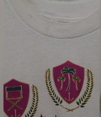 VTG Florida Tourist Tee XL Single Stitch Daytona Beach Crest Graphic USA