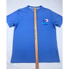 Chubbies Mens Sky’s Out Thighs Out Graphic T-Shirt Blue Medium Cotton Blend