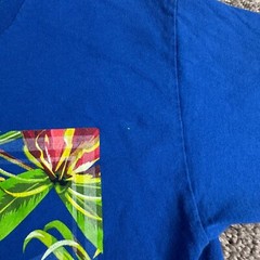 Adidas Shirt Mens Small Blue Green Trefoil Logo Monstera Leaf Hawaiian Casual