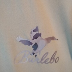 Burlebo Ducks Flying In Tee Men, Small, Olive Color, Short Sleeve, Chest Pocket