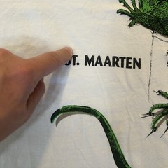 Iguana St. Maarten Stanley Michael Lizard Graphic T Shirt Large Caribbean Ts