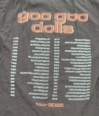 Goo Goo Dolls Tour 2025 T Shirt Men’s Medium Gray Cotton