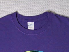 Daytona Beach Florida Souvenir Butterfly Colorful Purple T-shirt Size M Gildan