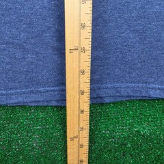 The Normal Brand Tshirt Mens Medium Blue Long Sleeve Graphic Bear Tee Casual