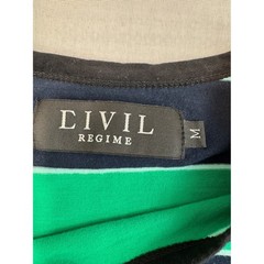 Civil Regime T-Shirt Mens Medium Green Navy Striped Phoenix Graphic Excellent