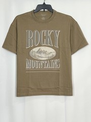 American Eagle Men’s Boxy Vintage Graphic T-Shirt Color Khaki Size M