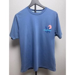 Chubbies Mens Sky’s Out Thighs Out Graphic T-Shirt Blue Medium Cotton Blend