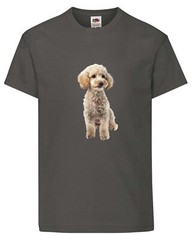 Miniature Poodle White Dog Pet Family Novelty T Shirt Various Colours And Sizes