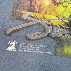 Jimi Hendrix Authentic 2003 Zion Rootswear T Shirt Blue Graphic Print Men’s M