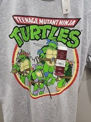 GRAY TEENAGE MUTANT NINJA TURTLES GRAPHIC MENS T-SHIRT SIZE S 34 / 36 NEW