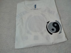 Custom Bruce Lee JKD Jun Fan Gung Fu Institute Tribute Men’s T Shirt Size Large