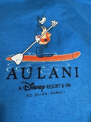 Disney Resort & Spa Ko Olina Aulani Hawaii Large Blue T-shirt Crew Neck Surfing