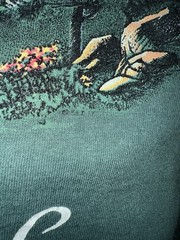 Vintage 80’s Utah Nature / Art Tee Single Stitch T Shirt Medium 19”x26.5”