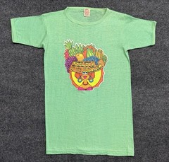Vintage 70s Single-Stitch Graphic Art T-Shirt South Of The Border Iron On Green