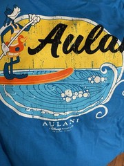 Disney Resort & Spa Ko Olina Aulani Hawaii Large Blue T-shirt Crew Neck Surfing