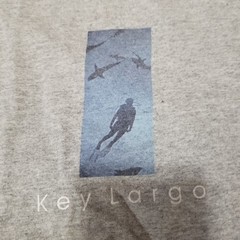 VTG 2000s Huge Brand T Shirt Mens XL Gray Stuart’s Cove Bahamas Diving Y2k