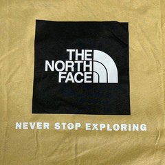 THE NORTH FACE Evolution Box NSE Regular Short Sleeve Shirt Men’s Sz L Khaki Sto
